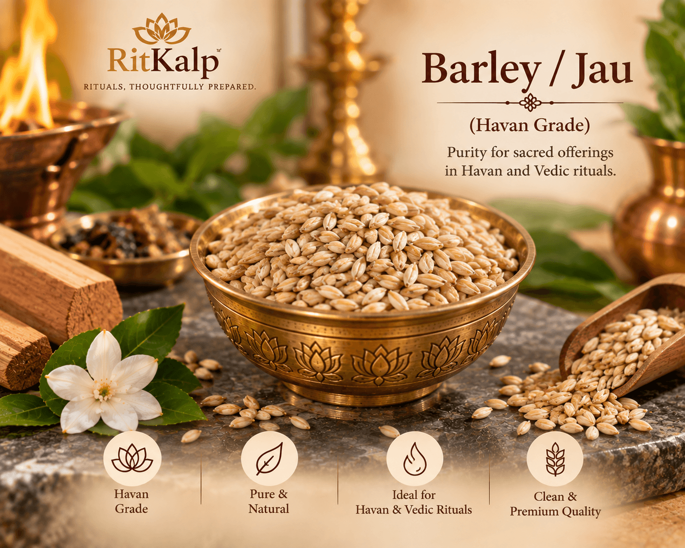 Barley Grains